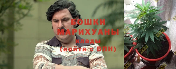 каннабис Беломорск