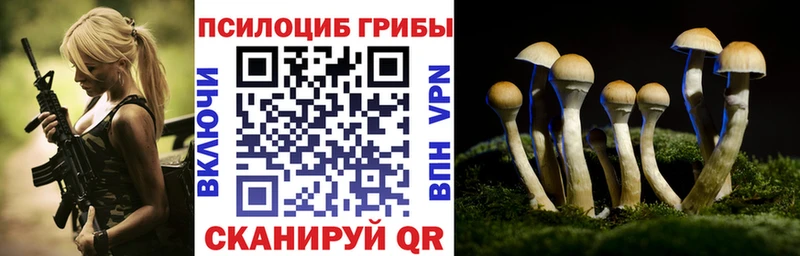 где можно купить   Омск  Псилоцибиновые грибы прущие грибы 
